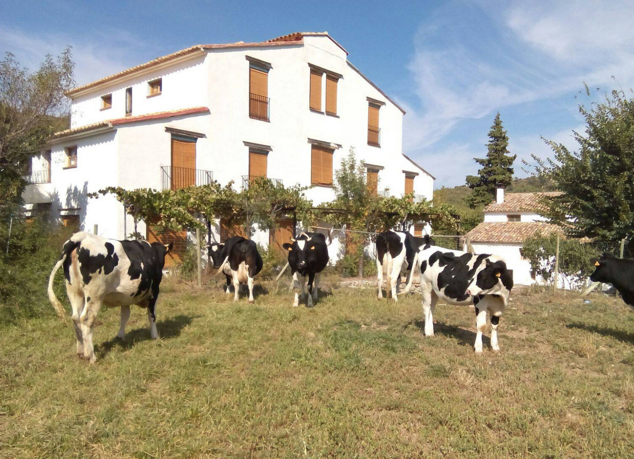 NOGUERA ASOC DESARROLLO RURAL Coop.V.