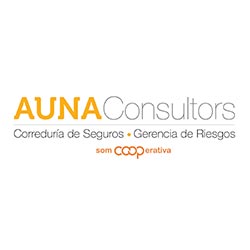 Auna Consultors