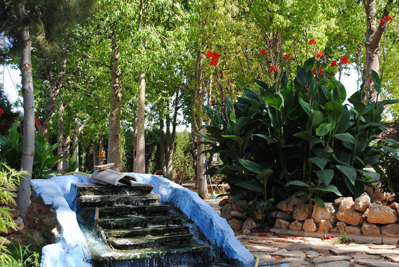naturaleza2