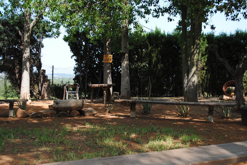 naturaleza3