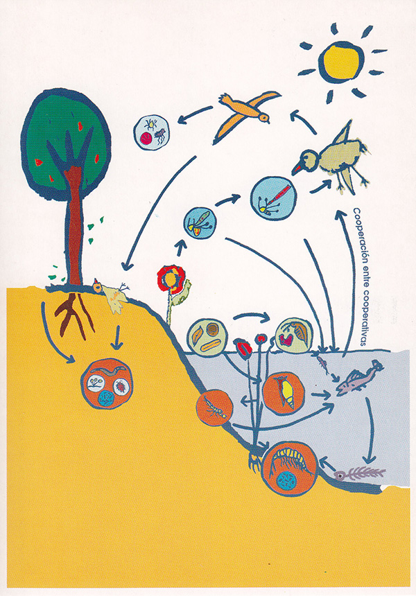 ciclo