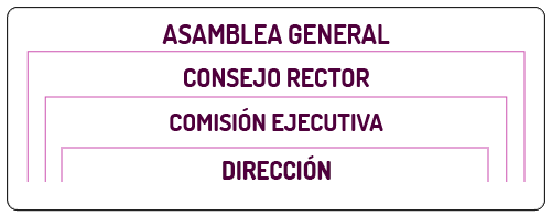 estructura organizativa estructura organizativa