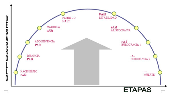 etapas-paei