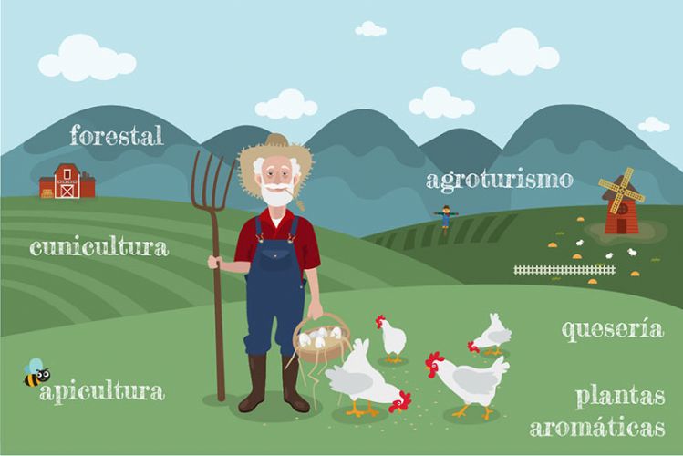 7 maneras de recuperar el medio rural y zonas de interior mediante cooperativas de trabajo