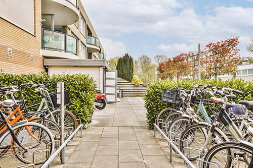 Ecologia i justícia social